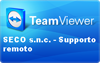 Download Team Viewer 
